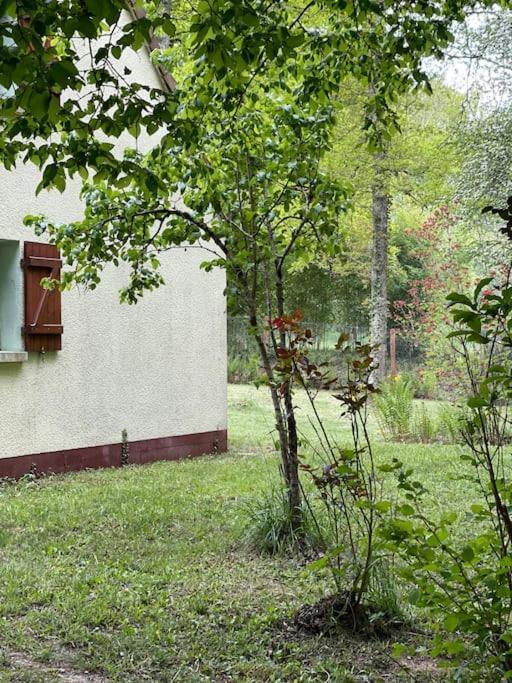 Gite Les Reculons Au Pied Du Lac Les Midoux Kültér fotó