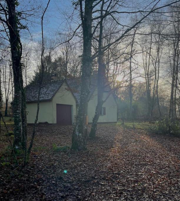 Gite Les Reculons Au Pied Du Lac Les Midoux Kültér fotó